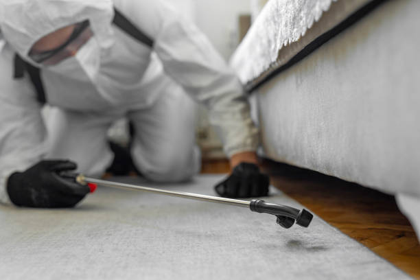 Professional Cockroach Control technician working in Flanders, NJ